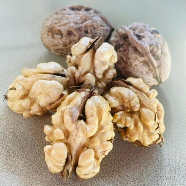 Kashmiri Snow White Walnut Kernels - 4 pieces - Image 2