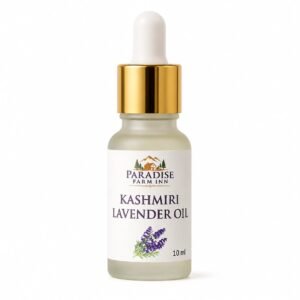 10 ML Lavender Oil