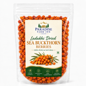 Sea Buckthorn | Ladakhi Dried Sea Buckthorn Berries